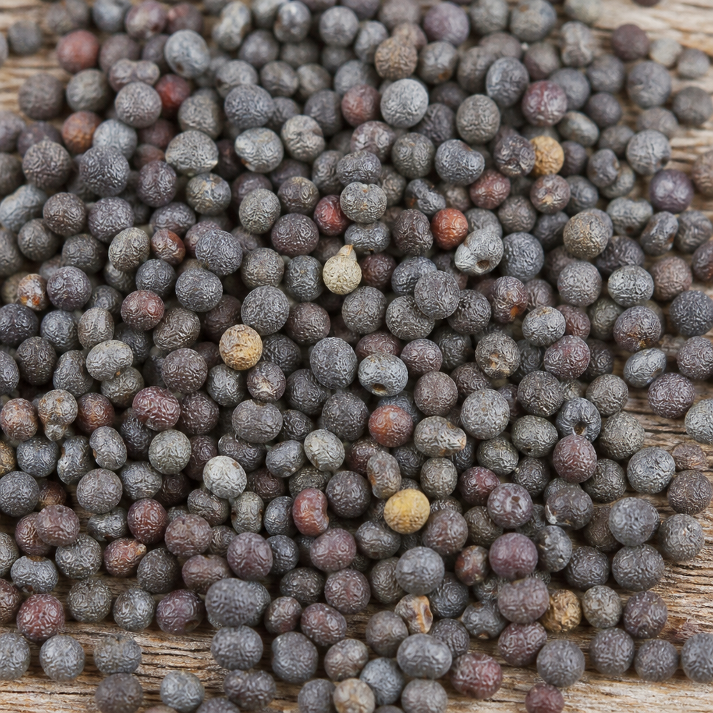 Kale Seed